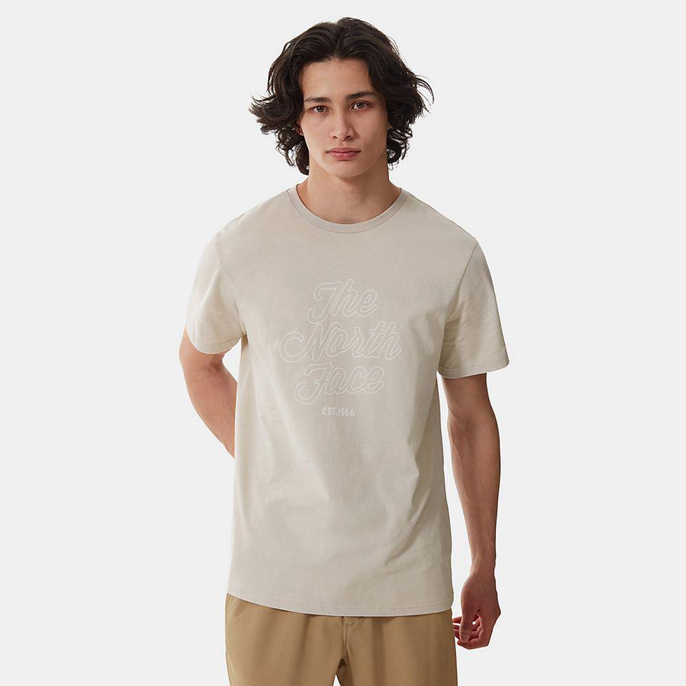 The North Face Natural Wonders Ανδρικα T Shirt - Ασημι Γκρι (DZPG31048)